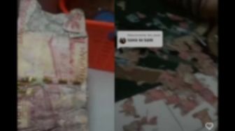 Viral! Puluhan Lembar Uang Rp100 Ribu Rusak Diduga Dimakan Rayap