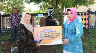 Jelang Idul Adha, Pemko Subulussalam Salurkan 45 Hewan Qurban