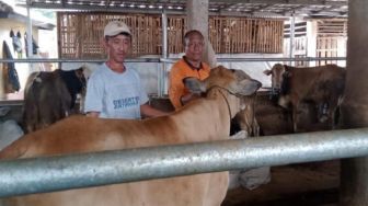 Nabung Uang Receh selama 10 Bulan, Petugas Keamanan dan Kebersihan Pasar Induk Cianjur bisa Kurban 4 Ekor Sapi