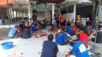 Kasus Hewan Kurban Terkena Cacing Hati Meningkat Pesat di Kabupaten Bantul