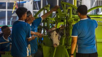 Serba-serbi Tradisi Unik Idul Adha di Indonesia: Manten Sapi hingga Bersih Desa