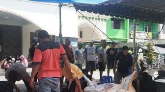 Dua Hari Penyembelihan, 180 Sapi Terkena Cacing Hati di Bantul