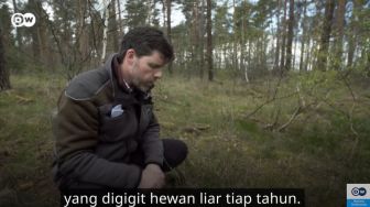 Cara Penjaga Hutan di Jerman Menjadi Pemburu Binatang untuk Menjaga Kelestarian Hutan