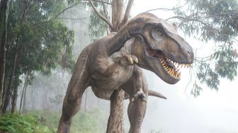 Terungkap Fungsi Lengan Kecil T-Rex