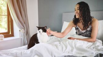 Mengapa Ada Kucing yang Mencakar saat Kita Berusaha Membelai?