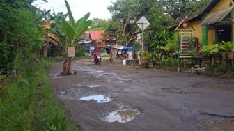 Sudah Berpuluh Tahun Jalan yang Menghubungkan Tiga Desa Rusak Parah