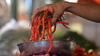 Pedagang mengambil cabai rawit merah untuk ditimbang di Pasar Senen, Jakarta, Rabu (13/7/2022). ANTARA FOTO/Aditya Pradana Putra