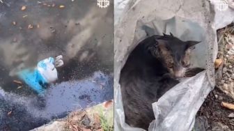 Viral! Temukan Kucing Dalam Karung di Sungai, Kondisinya Begitu Memilukan, Warganet: Jahat Banget!