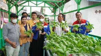 Kampung Atas Air Balikpapan Budidaya Sayur Hidroponik di Lahan Terbatas