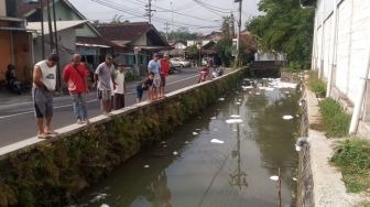 Kali Gandekan Kota Magelang Tercemar Limbah, Ratusan Kilogram Ikan Ternak Mati Keracunan