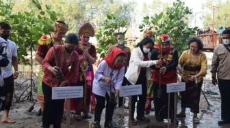 Dekopin Inisiasi Penanaman Sejuta Pohon Mangrove di 34 Provinsi di Indonesia