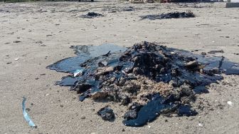 Limbah Hitam di Pantai Kerangmas Labuhan Maringgai Berasal dari Kebocoran Pipa Migas PHE OSES