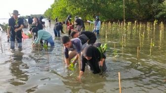 20 Ribu Bibit Mangrove Akan Ditanam di Kabupaten Pangkep