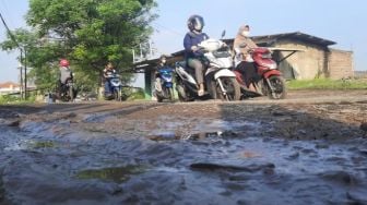 Warga Tagih Janji Wali Kota Cilegon soal Perbaikan Jalan Ciwedus: Pas Baru Dilantik Bilang Mau Dibeton, Mana?