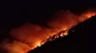 Satu Orang Tewas dalam Kebakaran Hutan di Taput