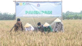 Kerja Sama Menjaga Ketahanan Pangan di Jakarta