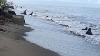 Abrasi Melanda Pantai Masang Agam Sepanjang Satu Kilometer