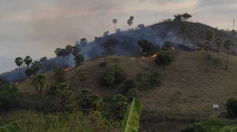 Warga NTT Diminta Mulai Antisipasti Potensi Kebakaran Hutan dan Lahan saat Kemarau Tahun 2022