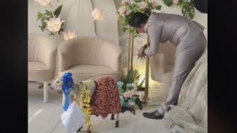 Kocak, Pengantin Ini Diberi Hadiah Kambing saat Menikah, Netizen: Tak Terlupakan Seumur Hidup