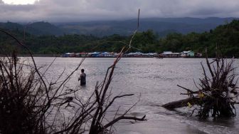 Ancaman Abrasi di Teluk Youtefa, Jayapura