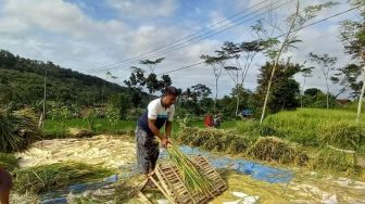 Petani Kulon Progo Kesulitan Tebus Pupuk di Agen-agen, DPRD Minta Pemkab Awasi Pendistribusian Pupuk Subsidi