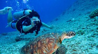 5 Tempat Snorkeling Terbaik di Mesir, Wajib Dicoba
