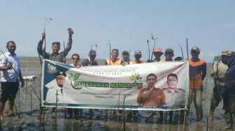 38 Ribu Batang Mangrove ditanam Oleh Dinas Kelautan Sulsel di Lutim