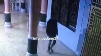Viral Video Maling Kotak Amal Masjid di Padang, Polisi Buru Pelaku