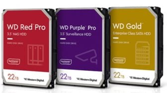 Wow! Penuhi Penyimpanan Pusat Data dan Video, WD Luncurkan Hard Disk Berkapasitas 22TB