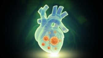 Hits Health: Gejala dan Penyebab Jantung Bengkak Roy Kiyoshi, Anne Heche Donasikan Organ