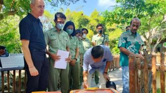 Bayi Komodo yang Lahir di Bali Diberi Nama Putu Mandara Dan Made Mandari