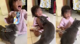 Bocah Nangis Langsung Diam Didatangi Kucing Kesayangan: Teman Curhat Paling Setia