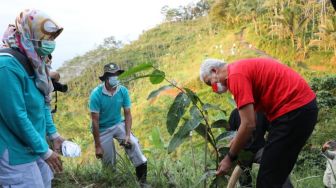 Gubernur Ganjar Pulihkan Lahan Kritis Seluas 251.037 Hektare di Jateng