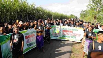 Diiringi Sumpah Palapa, Petani Tebu di Dompu Serukan Ganjar Presiden 2024