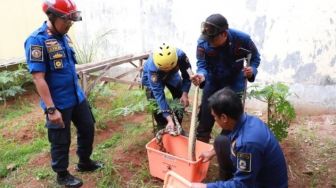 Musim Hujan, BPBD Kota Tangerang Ingatkan Warga Waspadai Teror Ular