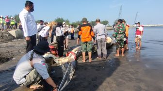 Disebut Bukan Ulah Manusia, Ternyata Ini Penyebab Hiu Tutul Mati Terdampar di Pantai Congot Kulon Progo