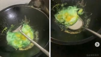 Viral Nenek Goreng Telur Malah Jadi Berwarna Hijau, Fakta Dibaliknya Bikin Netizen Elus Dada