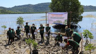 MPMX Lakukan Usaha Keberlanjutan Lewat Rehabilitasi Mangrove