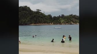 Viral Video Penampakan Lumba-lumba di Pantai Malang Selatan