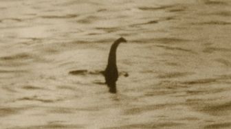 Temukan Fosil Misterius, Ilmuwan Ungkap Kebenaran Monster Loch Ness