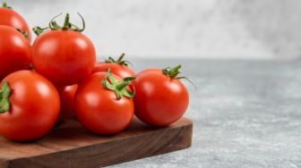 Hari-hari Ini Menjadi Penderitaan Bagi Kebanyakan Petani Tomat di Magetan
