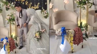Kado Unik saat Nikah, Pengantin Ini Dapat Hadiah Kambing di Atas Pelaminan
