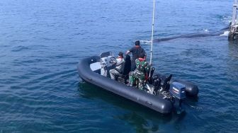 Paus Terdampar di Pantai Warudoyong Banyuwangi, Menghantam Dermaga hingga Rusak