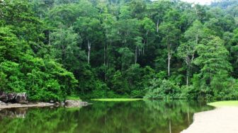 Pesona Wisata Taman Nasional Meru Betiri, Surganya Fauna dan Flora Langka