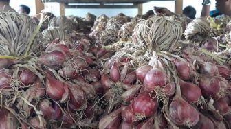 Bawang Merah Bisa Obati Pilek Anak, Fakta atau Mitos?