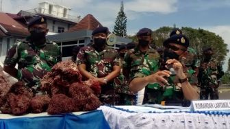 TNI AL Gagalkan Upaya Penyelundupan Terumbu Karang Merah Dari Pulau Sapuka Lompo Pangkep