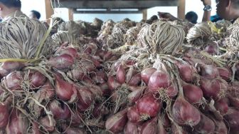 Kenaikan Harga Bawang Merah Picu Inflasi di Balikpapan