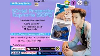 Siapkan Kucingmu! BTS Army Kendari akan Vaksinasi dan Sterilisasi Kucing 