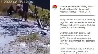 Viral Dua Remaja Curi Kambing di Mojokerto, Aksinya Terekam CCTV