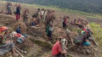 Kementan Gerak Cepat Kirim Bantuan 2,3 Ton Pangan untuk Masyarakat Terdampak Cuaca Ekstrem di Papua